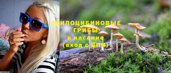 прущая мука Щучье